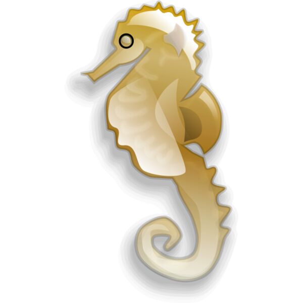 Anonymous Seahorse Thumbnail