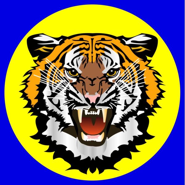 TiferYellowOnBlue Thumbnail