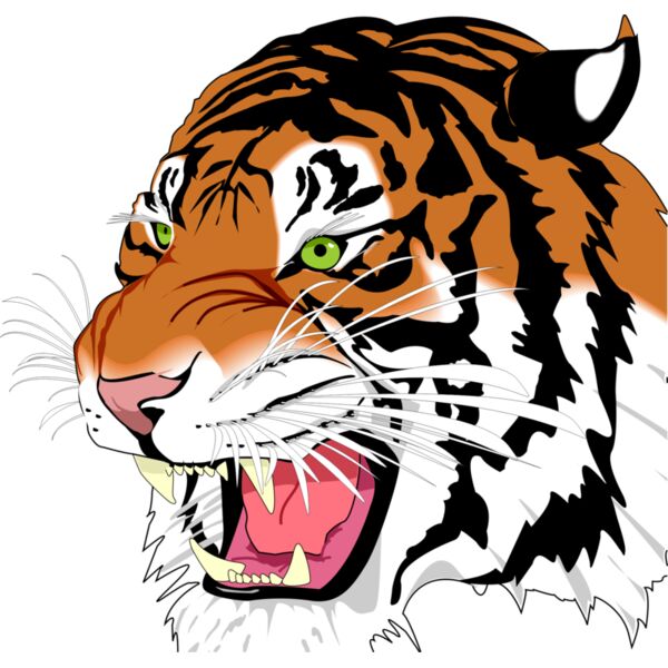 tiger Thumbnail